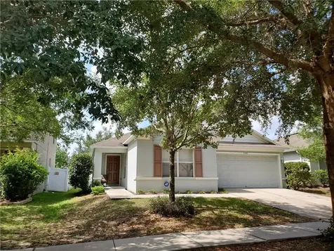 11141 Goldenrod Fern Drive Riverview FL 33569