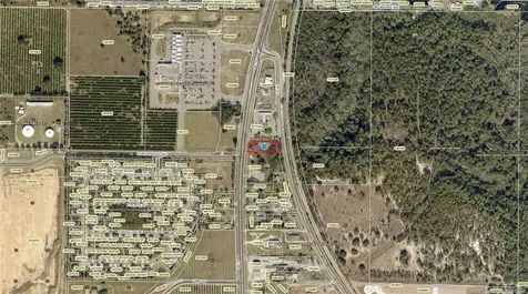 29828 State Road 19 Tavares FL 32778