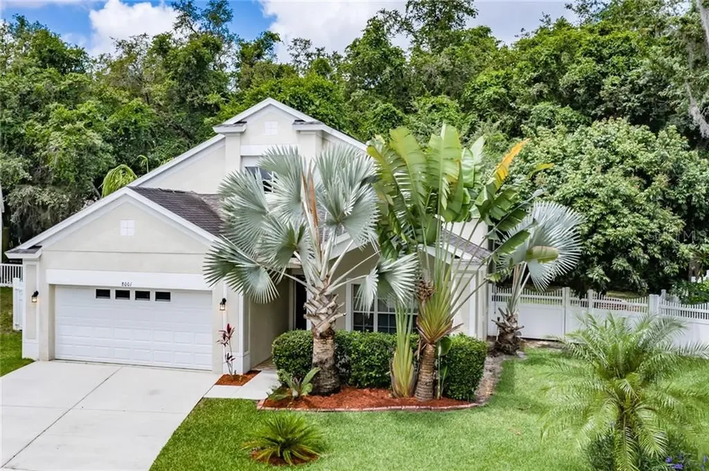 8001 Terrace Arbor Court Tampa FL 33637