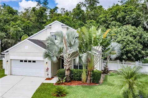 8001 Terrace Arbor Court Tampa FL 33637