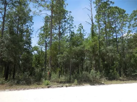 14190 SE 23rd Place Morriston FL 32668