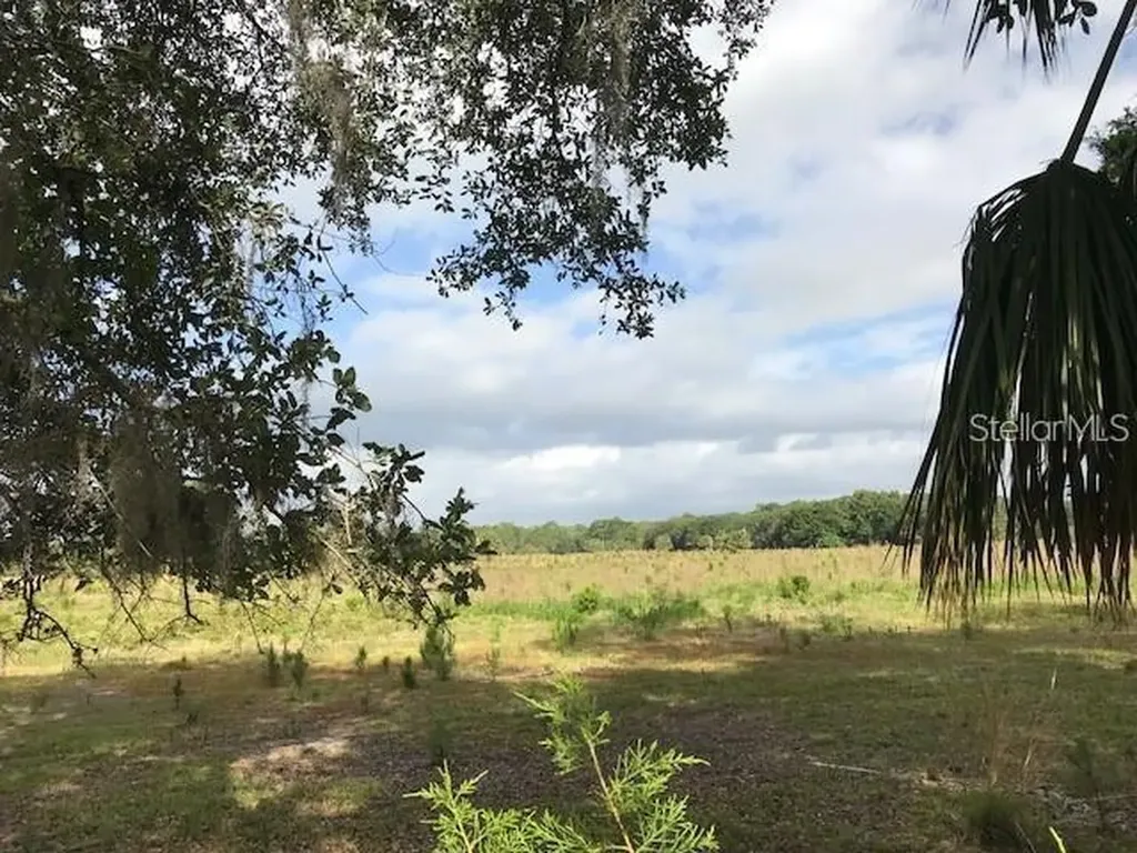 1048 Pell Road Osteen FL 32764