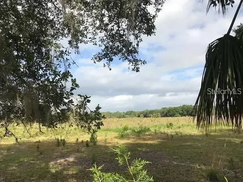 1048 Pell Road Osteen FL 32764