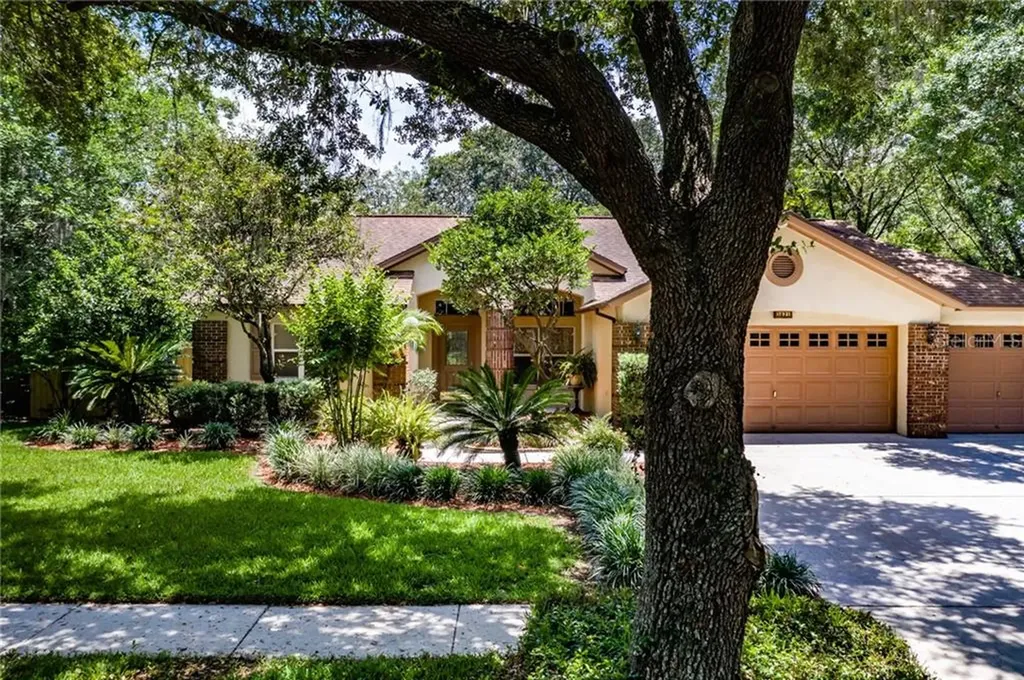 3821 Harrogate Drive Valrico FL 33596
