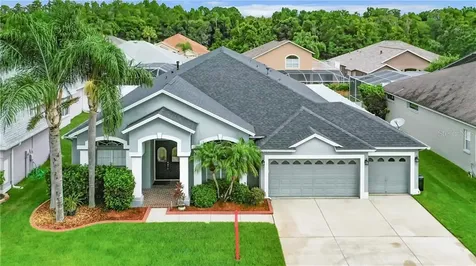 10126 Queens Park Drive Tampa FL 33647
