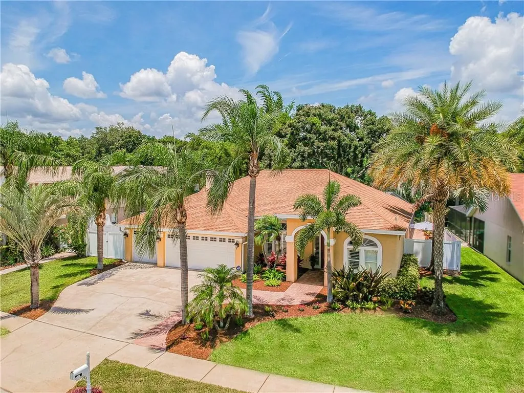5615 Piney Lane Drive Tampa FL 33625