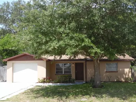 1409 Whitehall Lane Holiday FL 34691