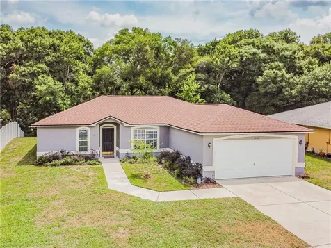 24431 Painter Drive Land O Lakes FL 34639