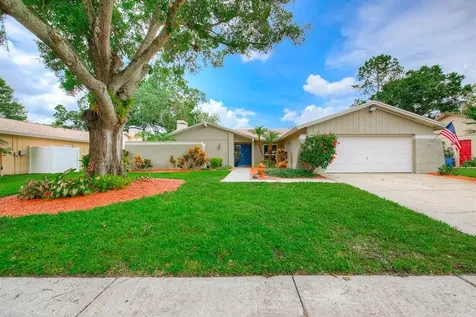 4011 Arroyo Lane Tampa FL 33624