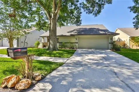 7220 Hollowell Drive Tampa FL 33634