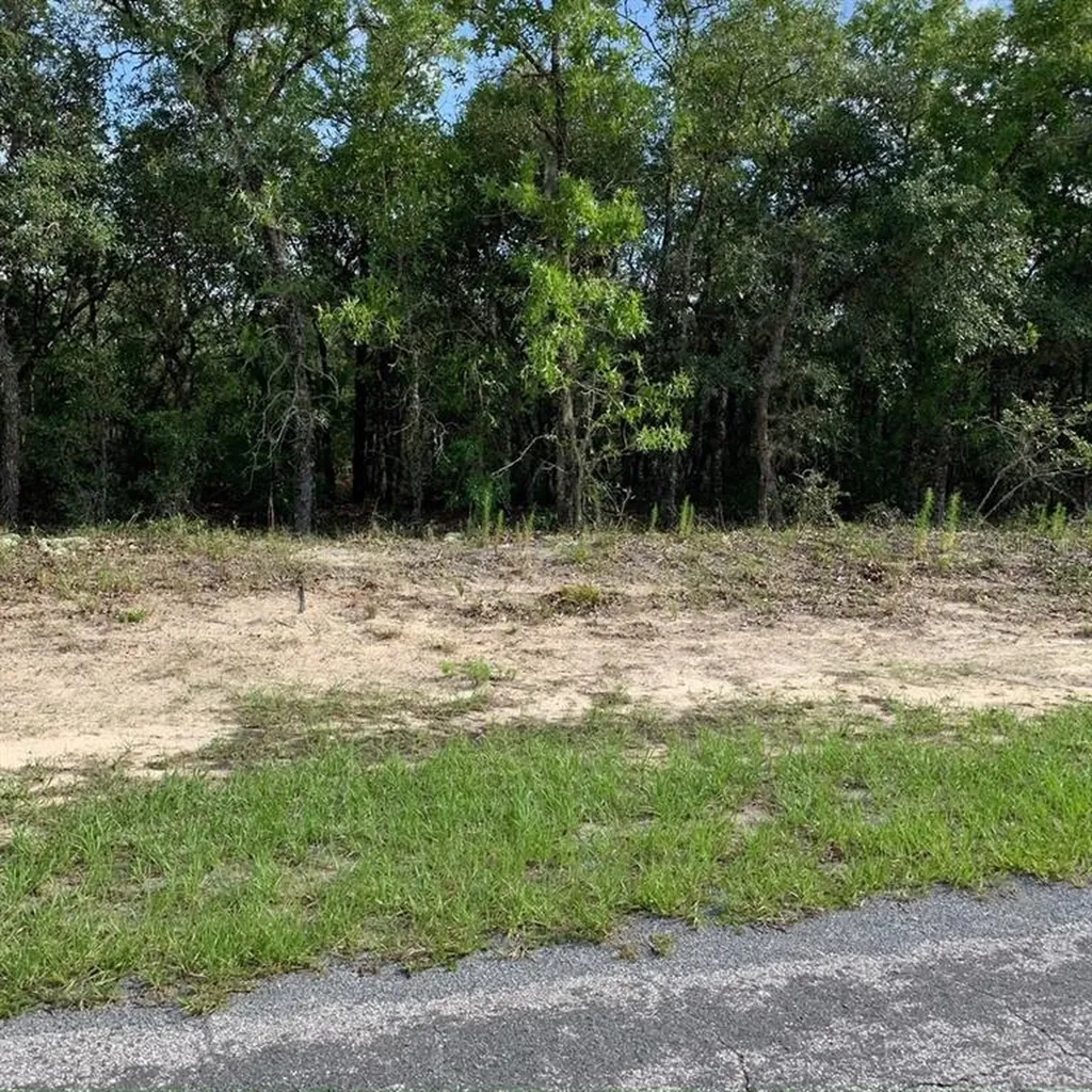 4482 W Ranger Street Beverly Hills FL 34465