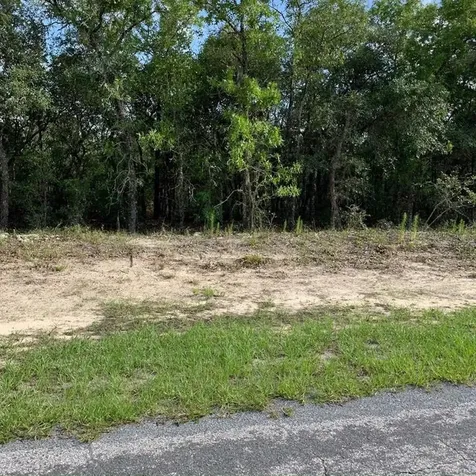 4482 W Ranger Street Beverly Hills FL 34465