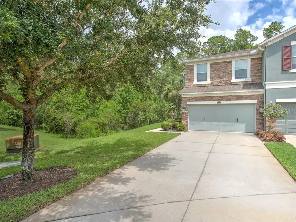 12506 Streamdale Drive Tampa FL 33626