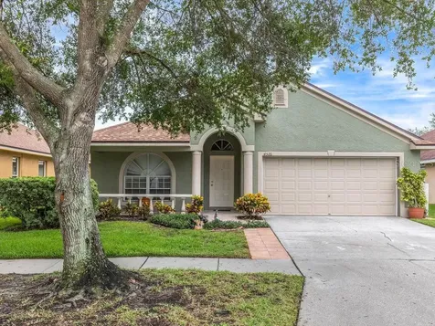 4526 New Dawn Court Lutz FL 33558
