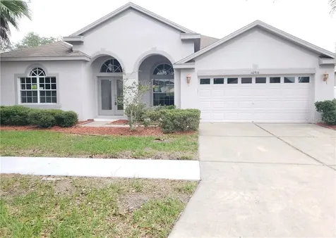 10916 Australian Pine Drive Riverview FL 33579