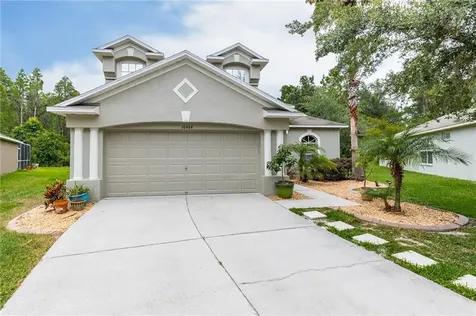 10464 Lucaya Drive Tampa FL 33647