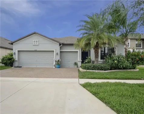 10046 Celtic Ash Drive Ruskin FL 33573