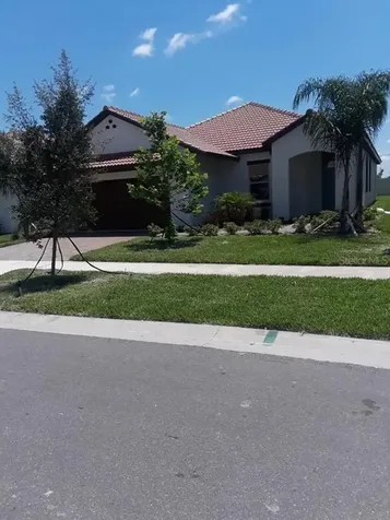 16826 Whisper Elm Street Wimauma FL 33598