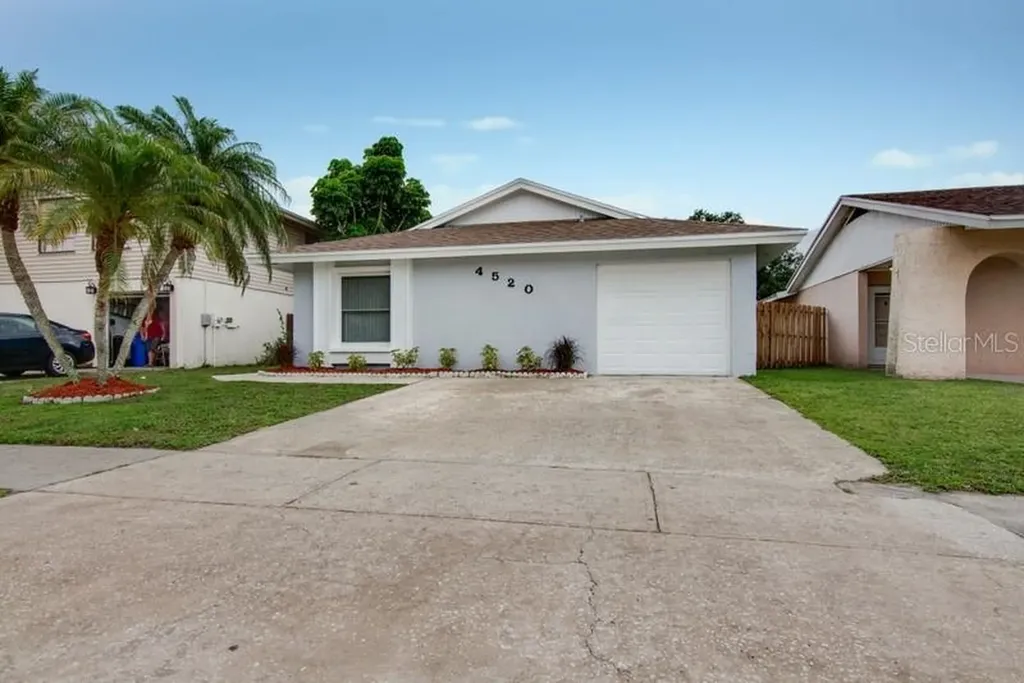 4520 Millpond Lane Tampa FL 33624