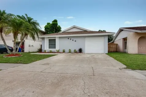 4520 Millpond Lane Tampa FL 33624
