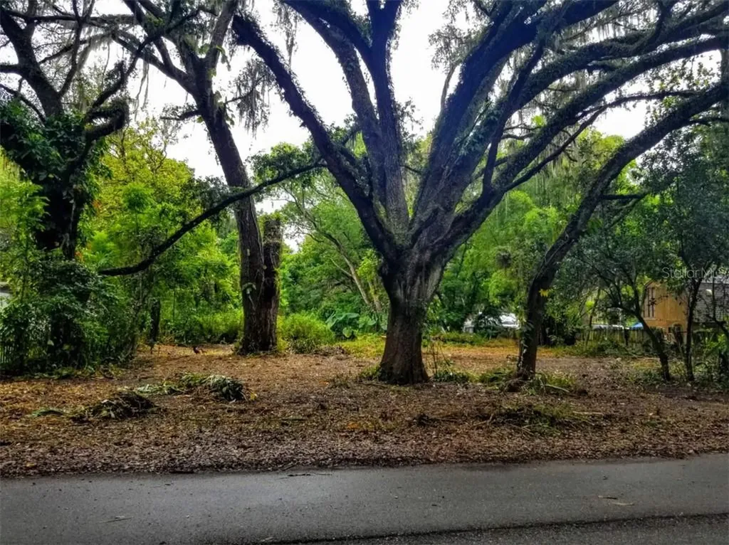4612 Plum Street Zephyrhills FL 33542