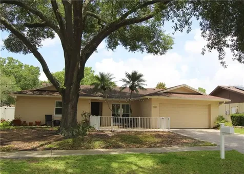 4203 Summerdale Drive Tampa FL 33624