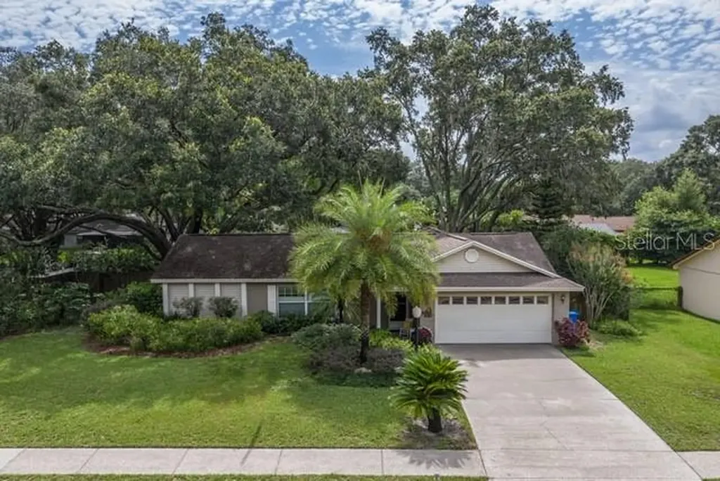 3413 Little Oak Street Valrico FL 33596