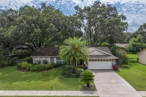 3413 Little Oak Street Valrico FL 33596
