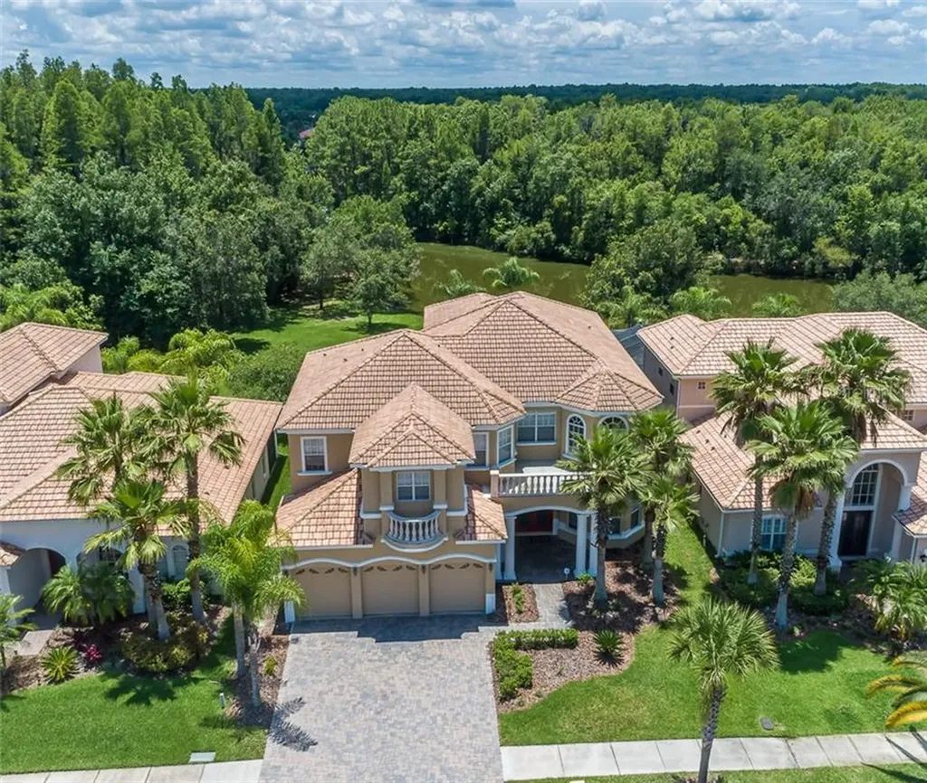 10541 Martinique Isle Drive Tampa FL 33647