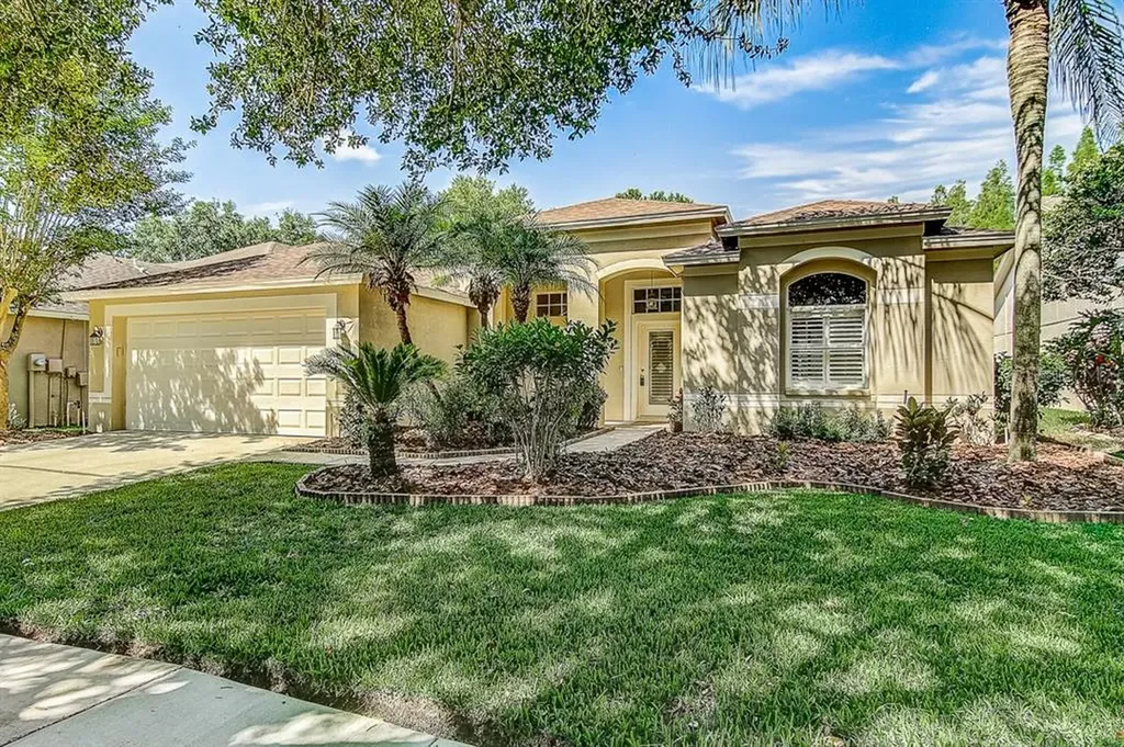 10205 Timberland Point Drive Tampa FL 33647