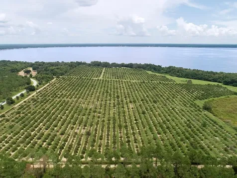 13543 SE 115th Avenue Ocklawaha FL 32179