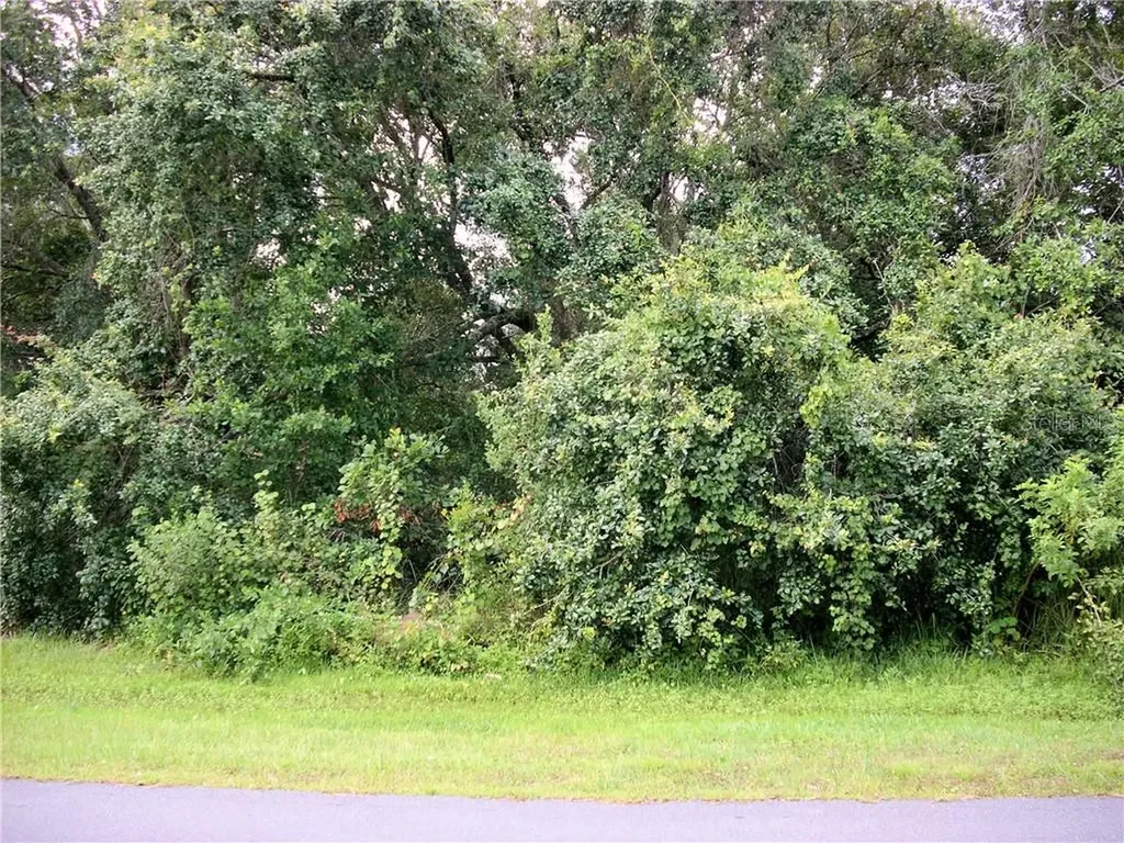 1002 Pantheon Drive Kissimmee FL 34759