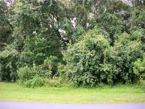 1002 Pantheon Drive Kissimmee FL 34759