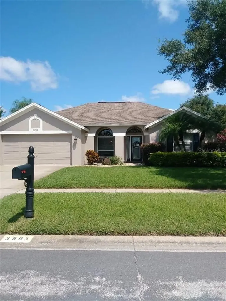 3903 Saddle Ridge Street Valrico FL 33596