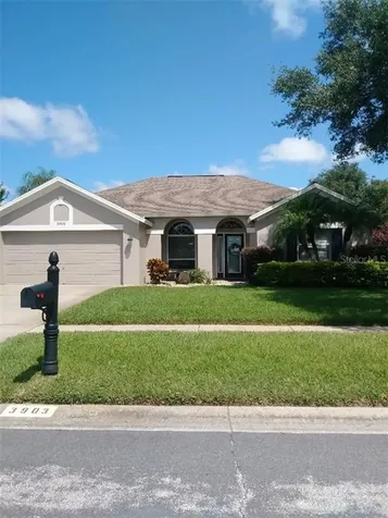 3903 Saddle Ridge Street Valrico FL 33596