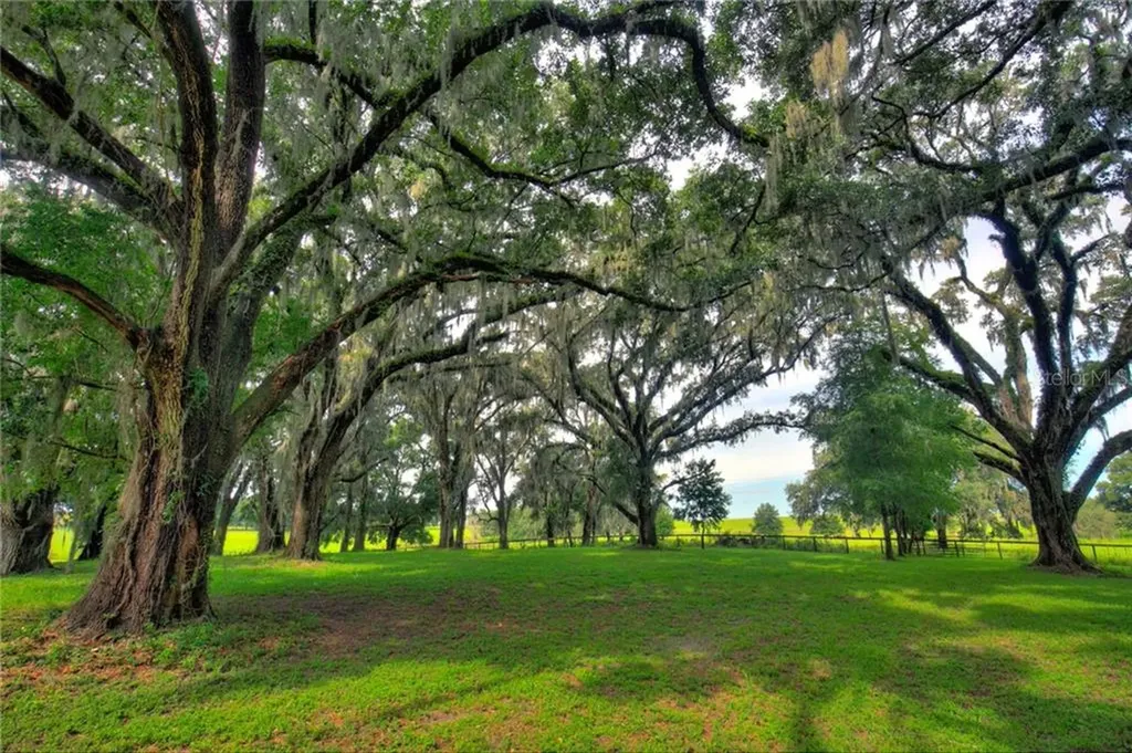 23422 NW 27th Street Morriston FL 32668
