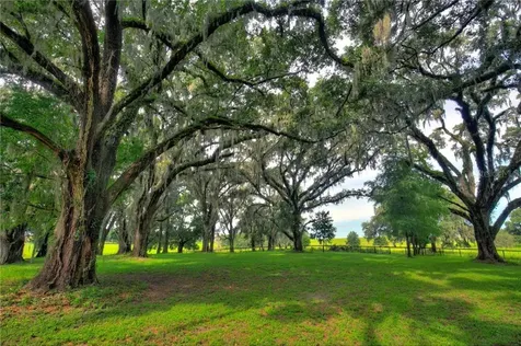 23422 NW 27th Street Morriston FL 32668
