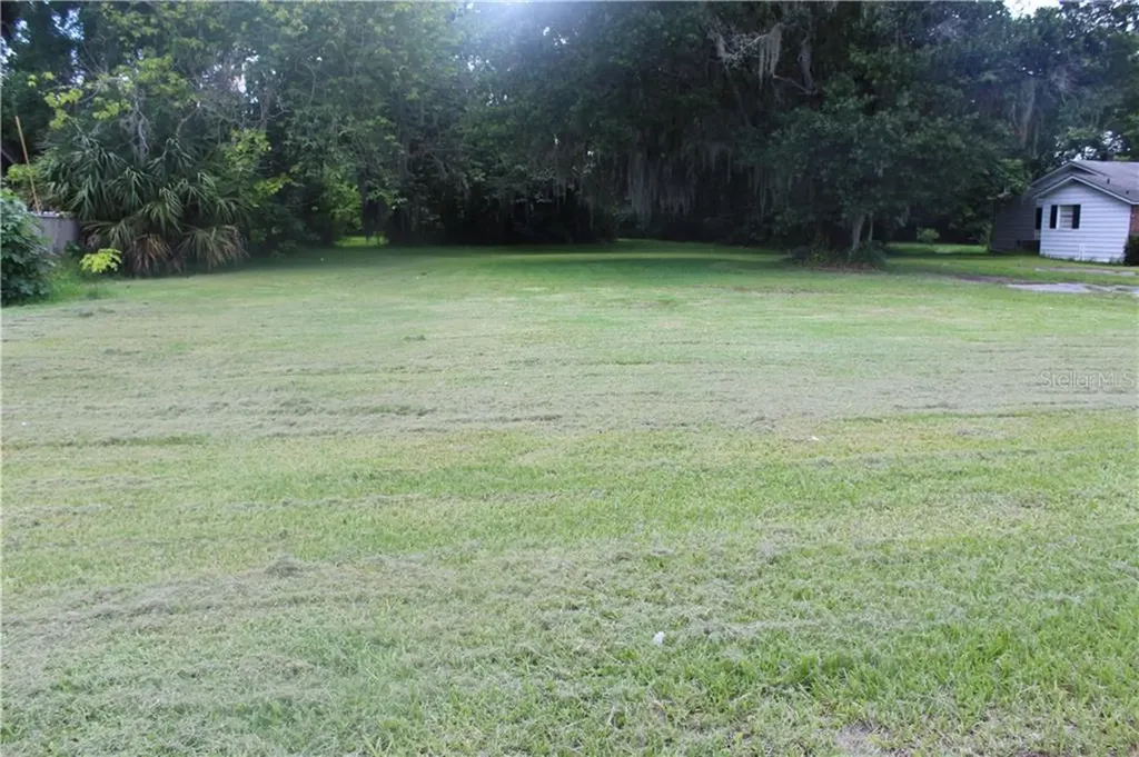 1007 & 1005 N Church Avenue Mulberry FL 33860