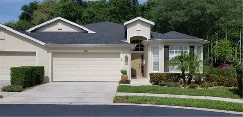10812 Ashford Oaks Drive Tampa FL 33625