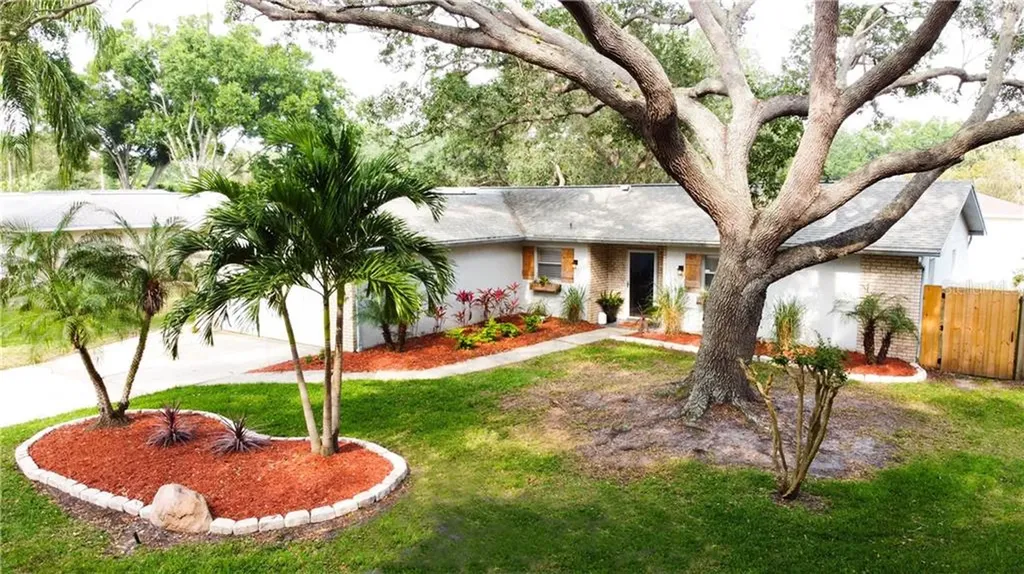 10619 Seminole Forest Street W Seminole FL 33778