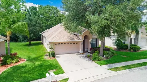 30635 Pumpkin Ridge Drive Wesley Chapel FL 33543
