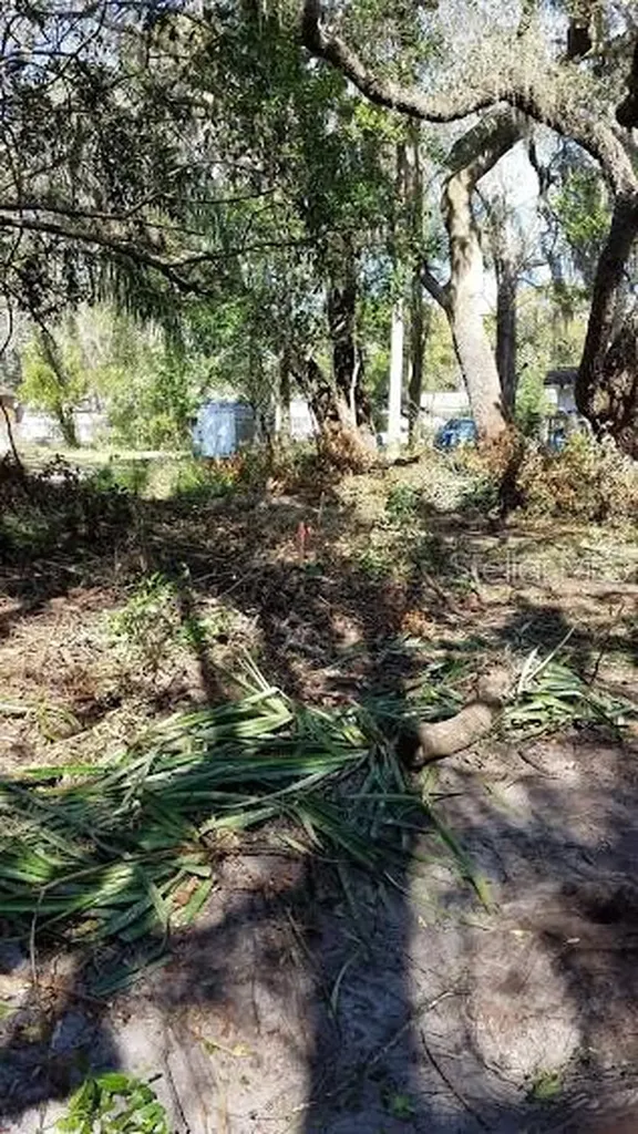 207 3rd Avenue NE Lutz FL 33549