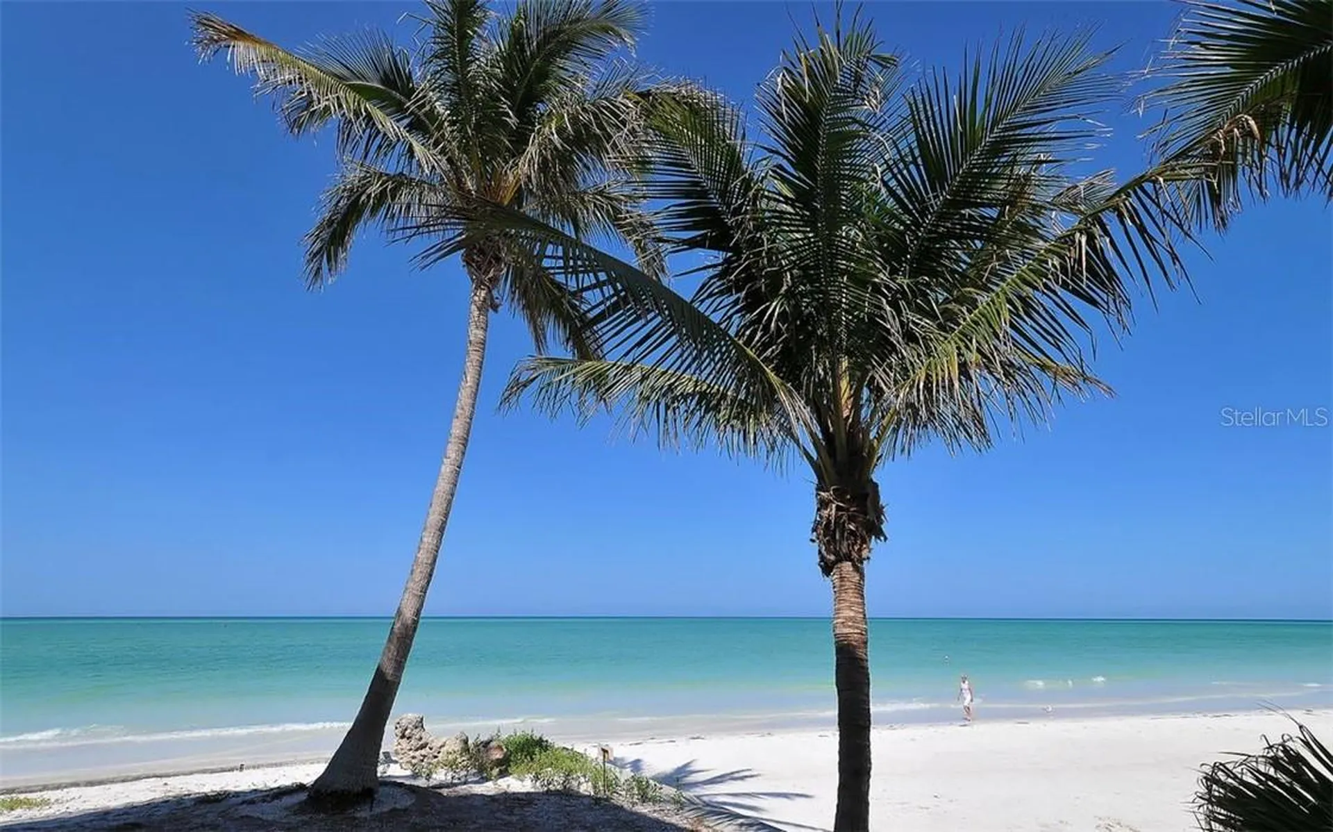 1179 Morningside Place Sarasota FL 34236