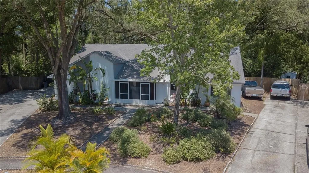 3352 Laurel Dale Drive Tampa FL 33618