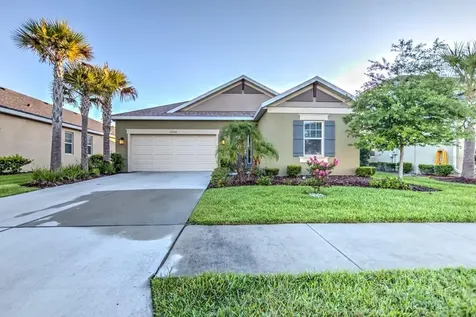 27035 Carolina Aster Drive Wesley Chapel FL 33544