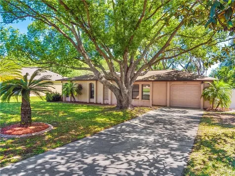 1346 Waterfall Drive Spring Hill FL 34608