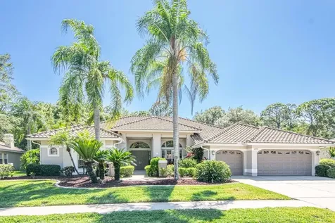4990 Turtle Creek Trail Oldsmar FL 34677