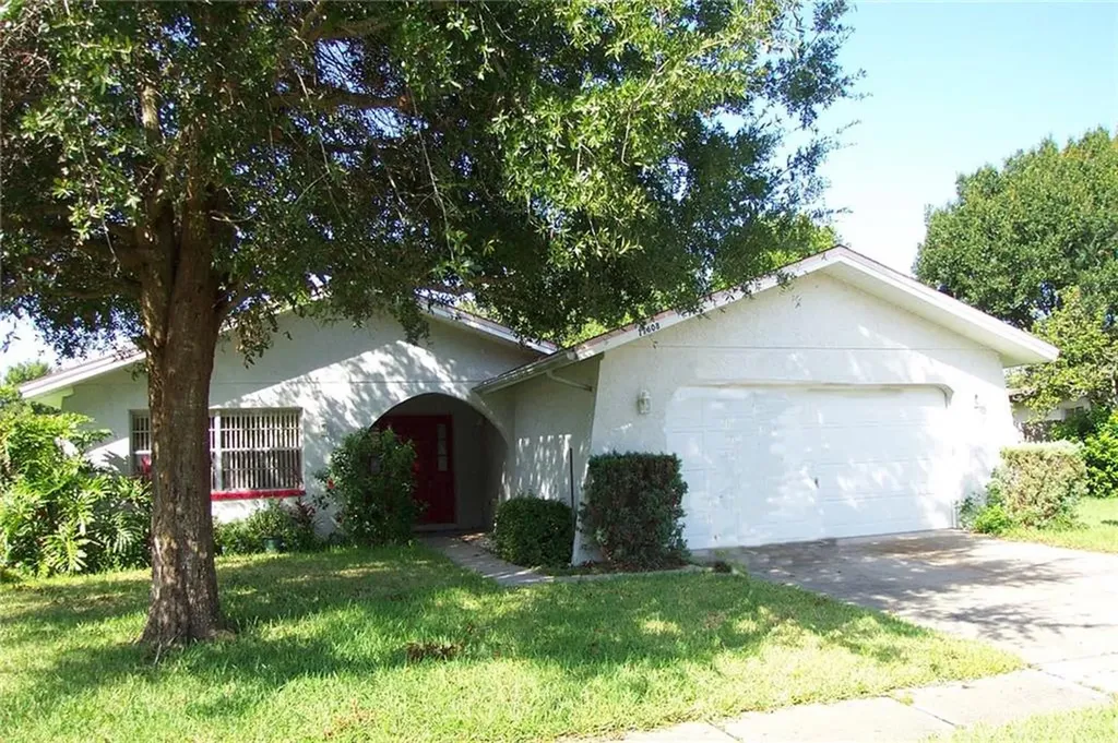 11608 Painted Hills Lane Tampa FL 33624