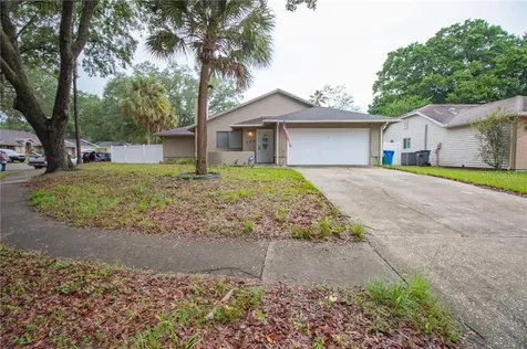 4142 Yellowwood Drive Valrico FL 33594