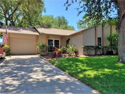 4117 Yellowwood Drive Valrico FL 33594